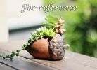 Resin Simulation Hazelnut Succulent Plant Pot Small Decorative Planter for Succulent Cactus